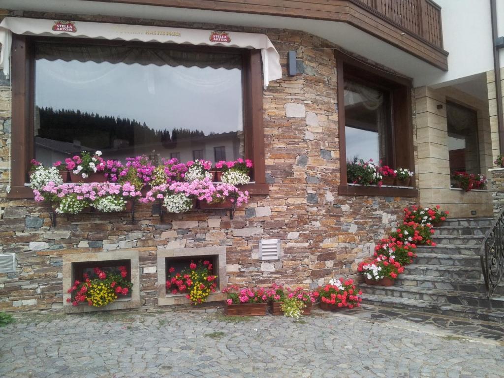 Hotel Iva & Elena Pamporovo Extérieur photo